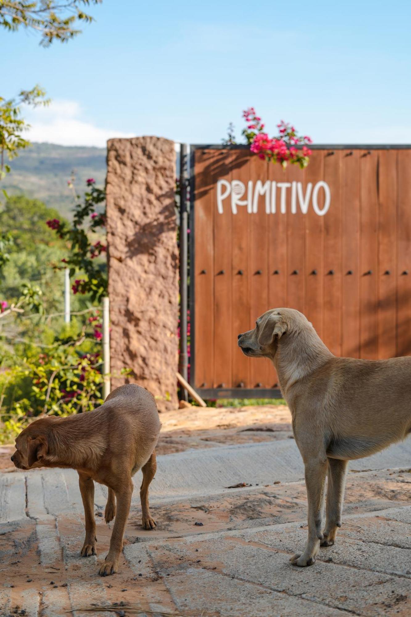 Casa Primitivo