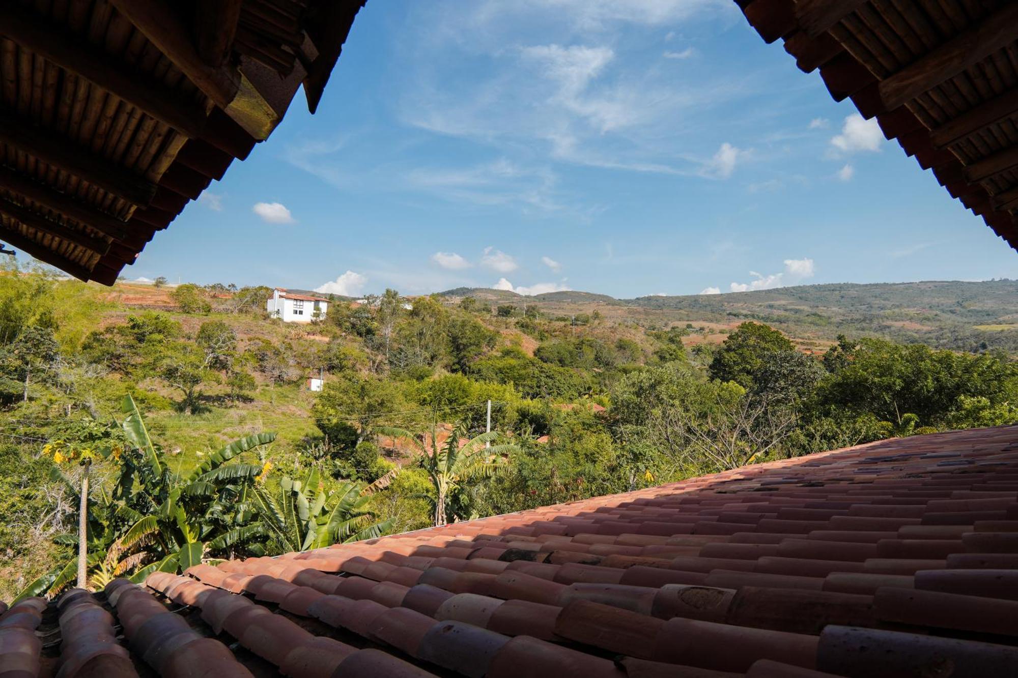 Casa Primitivo *