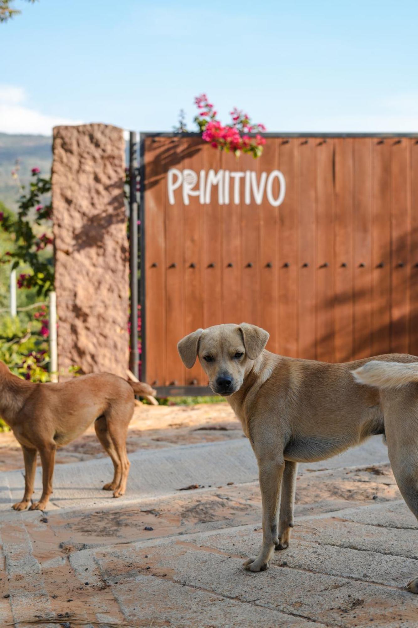 Casa Primitivo Landhaus *